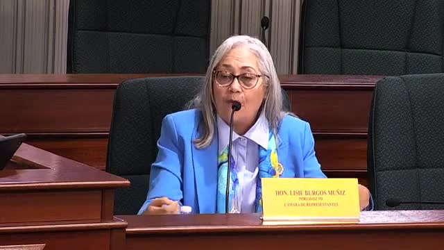 Puerto Rico debates legal complexities of abortion for minors in health committee meeting