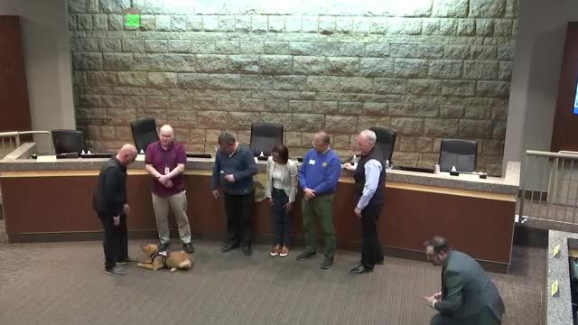 Cottage Grove Council approves $1.5M bid for 2025 pavement management project
