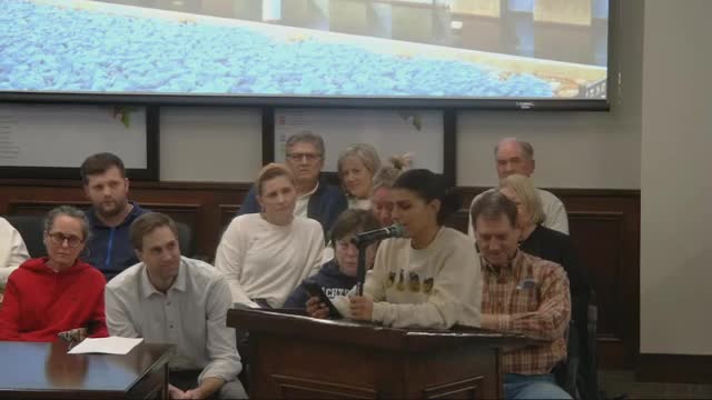 Resident urges council to reconsider chicken lot size restrictions for special needs child