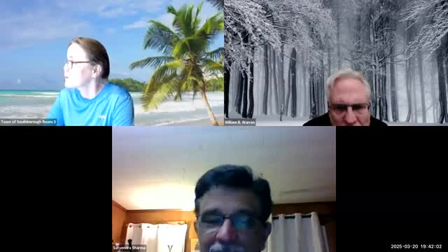 Members approve minutes from recent meeting and discuss Peninsula Veil phase 1 updates