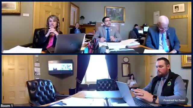 Liz Ryan advocates for Vermont's raise the age law for young adults