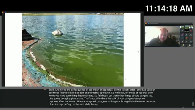 Solar B technology reduces harmful algae blooms at Calder Lake