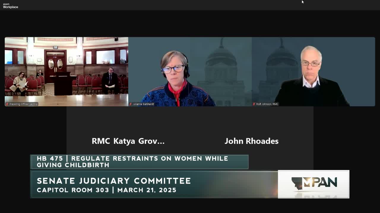 Committee supports HB 475 addressing nonviolent offenses in US prisons