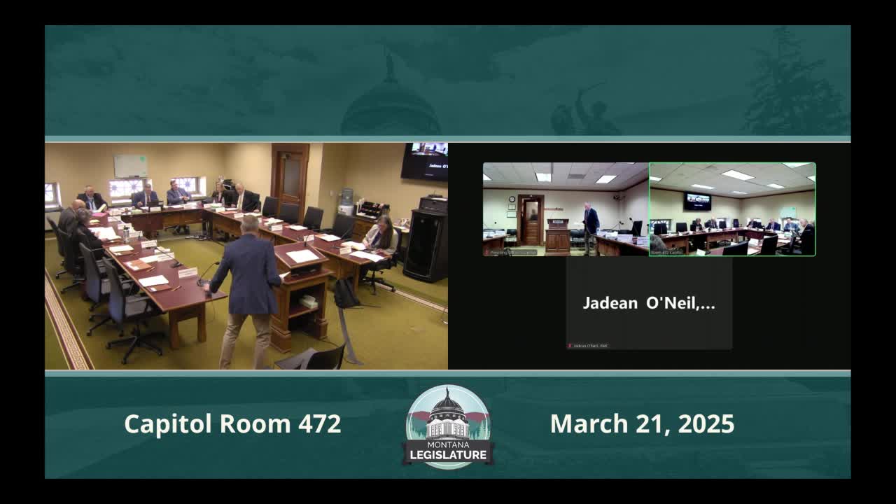 Committee hears bill to clarify where and when governor may deliver vetoed bills