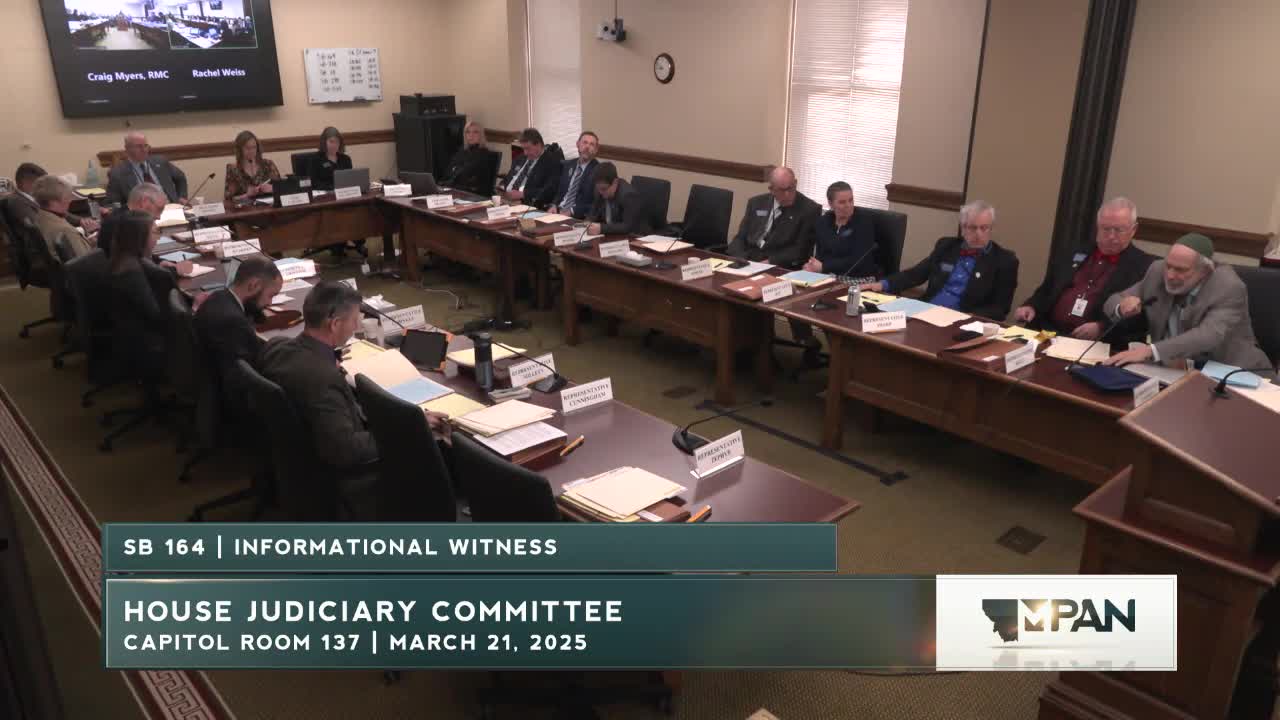 Texas lawmakers discuss child treatment bill's impact on medical care and welfare