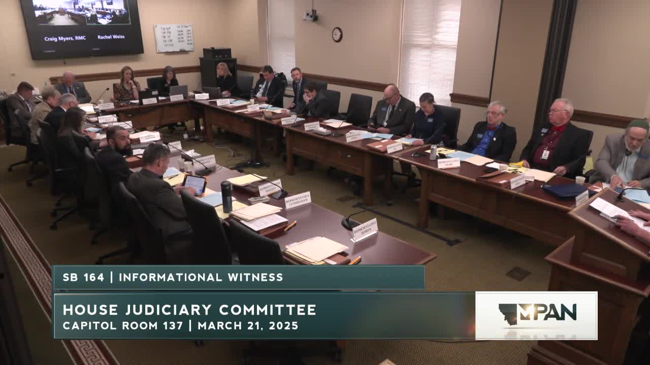 Bills creating extended liability for gender‑dysphoria treatments draw sharply divided testimony