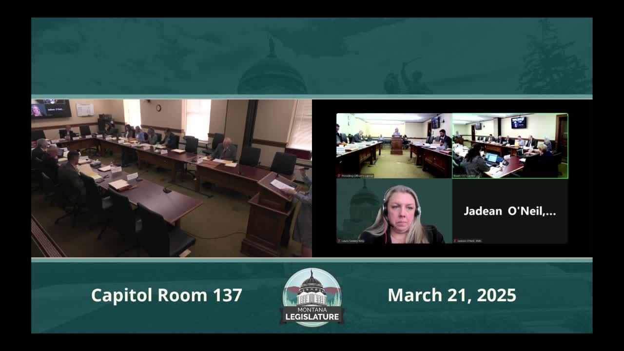 Committee hears bill to expand classroom-based early literacy for Montana 4‑year‑olds