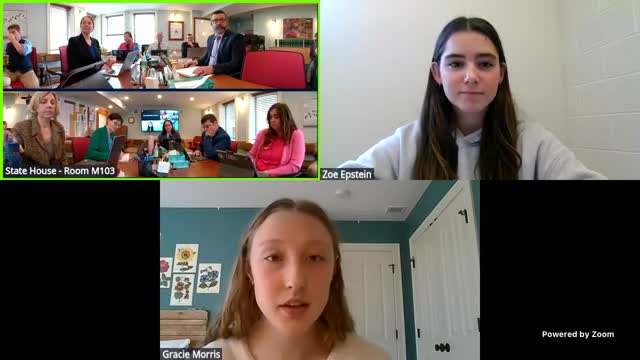 Student representatives tell House Education committee student voice must be embedded in policy