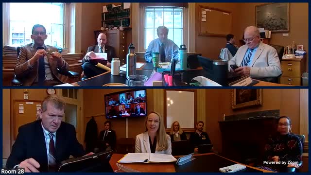 Senate Education Committee hears timeline, funding and district-size details for education transformation