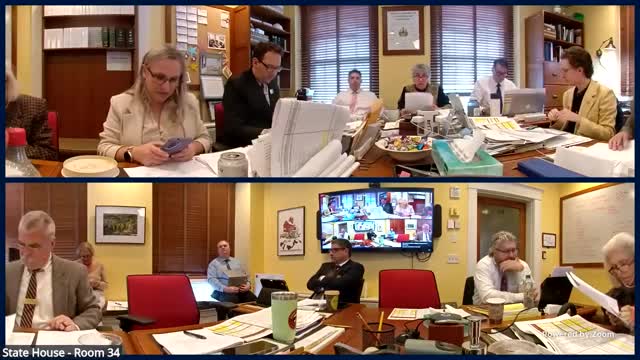 Committee clarifies language for commerce section: building community grants and historic‑preserve phrasing