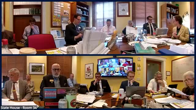 Committee confirms veterans’ home design/construction funding and directs reallocation tracking