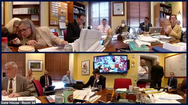 Committee clarifies Department of Corrections projects, moves security line items to Corrections from BGS