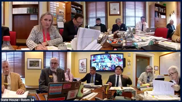 Committee scales back capital funding for three housing-related projects, moves $2 million to cash fund B with conditions