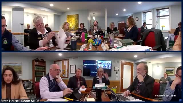 Committee reviews H.474 amendment to list late write‑in candidates; clerks and Secretary of State caution on 7 p.m. deadline