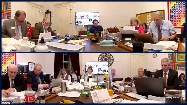 Appropriations panel reviews remaining bill language: adult ed, VT Saves, municipal loan fund, CDAC, and general assistance shelter rules