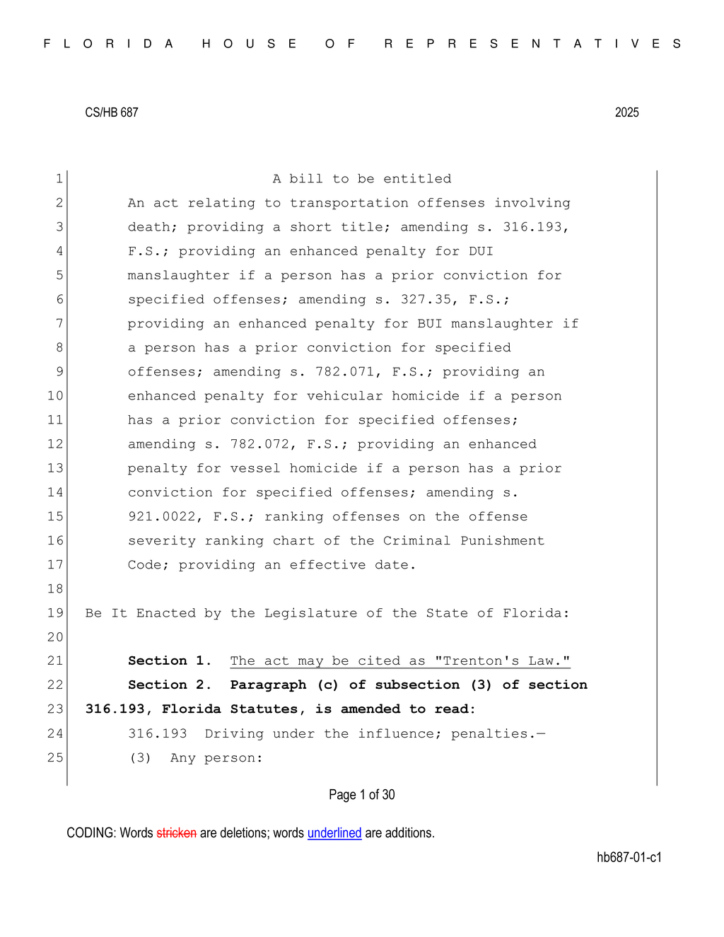 Florida House introduces Trenton's Law to enhance penalties for DUI and BUI manslaughter