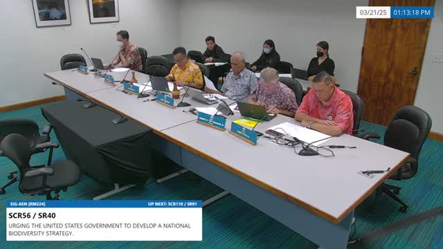 Committees advance measure asking state energy office to study feasibility of green bonds