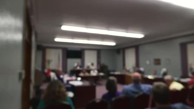 Council allocates $24500 for Spring Haven road repairs following safety concerns