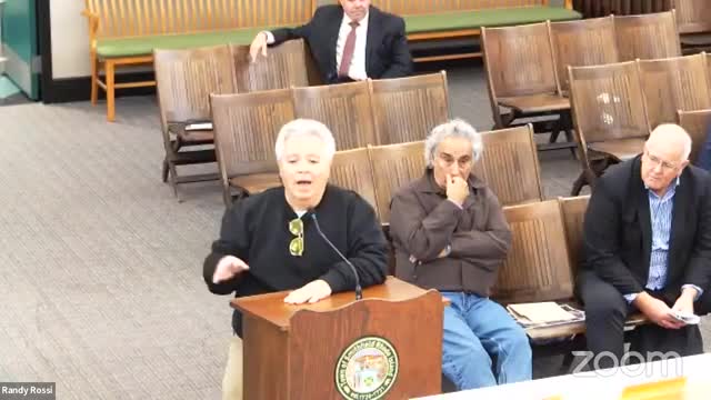 Smithfield Council debates road safety concerns for property development proposal