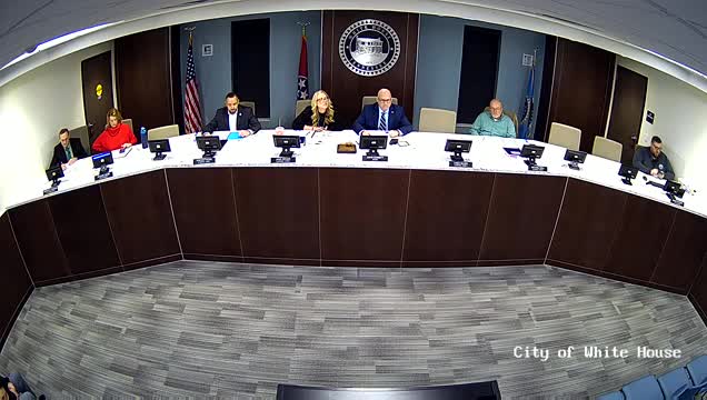Local residents confront stray dog crisis and advocate for accountability