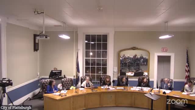 Council members discuss timeline, committee coordination for adopting new districting map