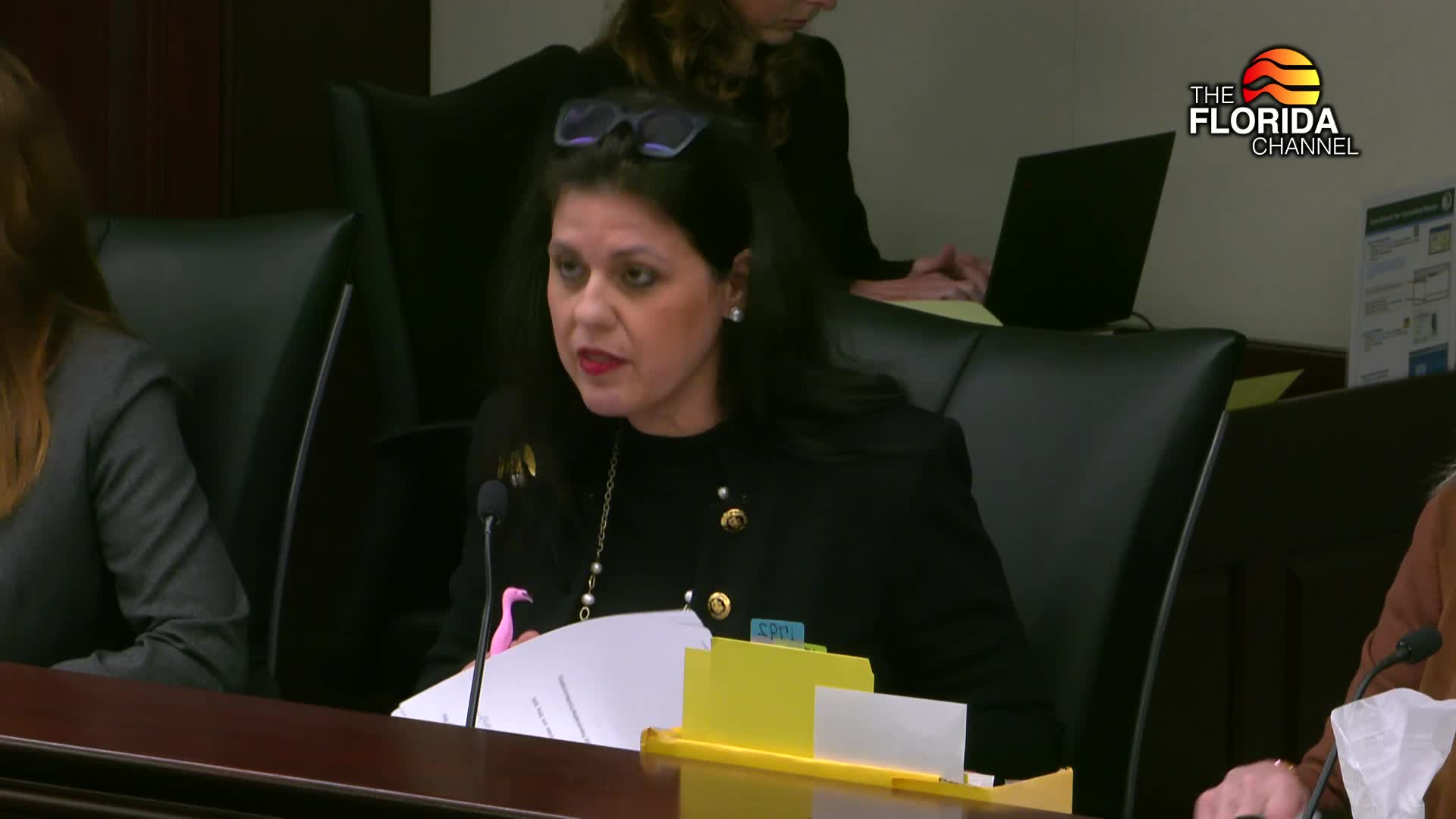 Florida Senate designates flamingo as state bird and scrub jay as songbird