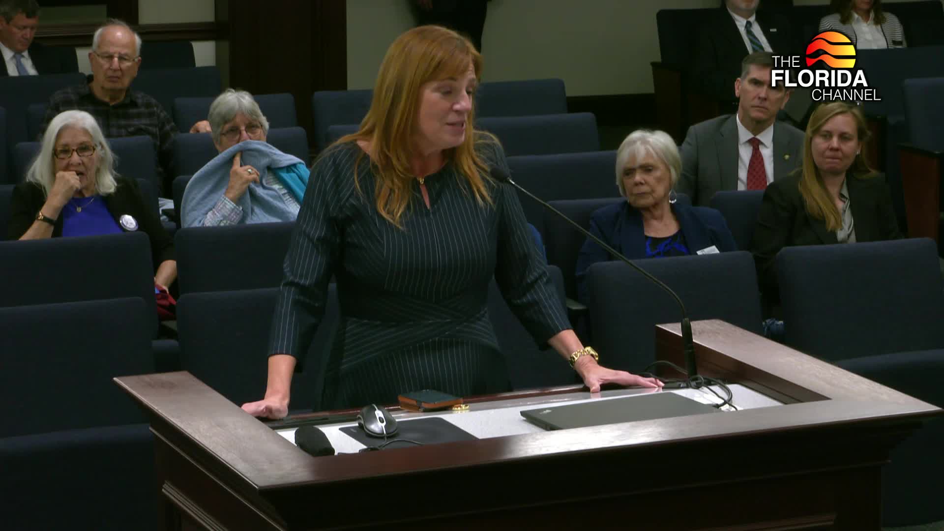 Senate debates Miami Dade boat anchoring restrictions and environmental liability bill