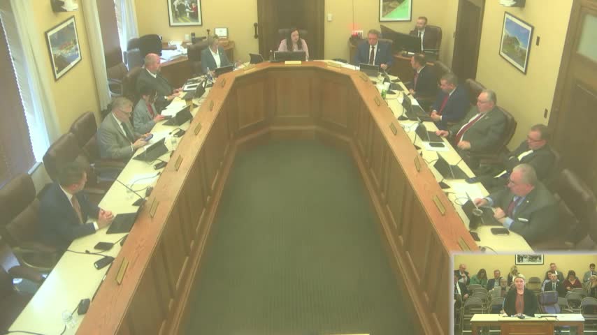 Senate committee approves child welfare bill with amendments on parents' rights