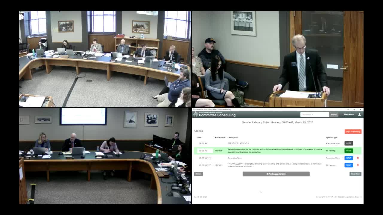 Senate Committee Discusses Bentley's Law to Support Children of Homicide Victims