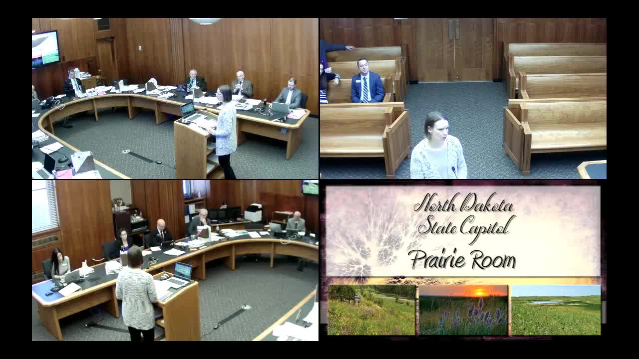North Dakota committee pushes bill to support student parents through unexpected pregnancies