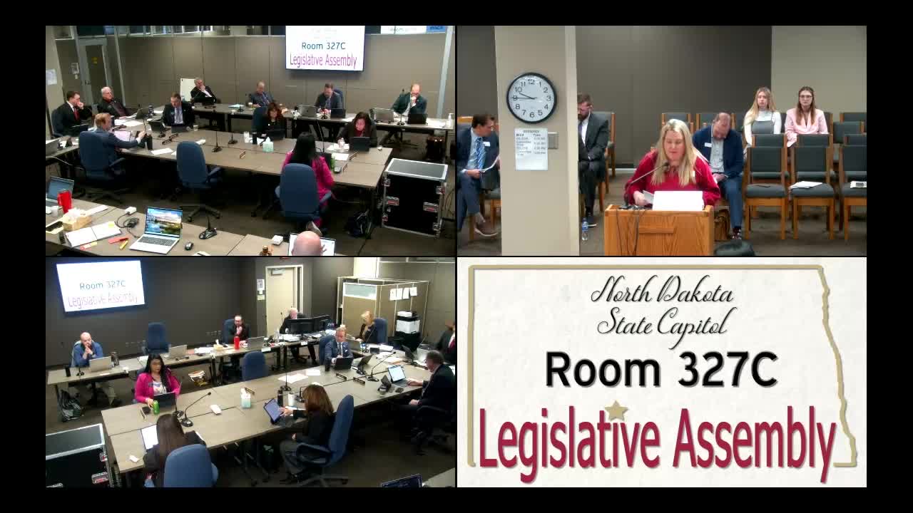 Katie Fitzsimmons addresses student insurance requirements at North Dakota University System hearing