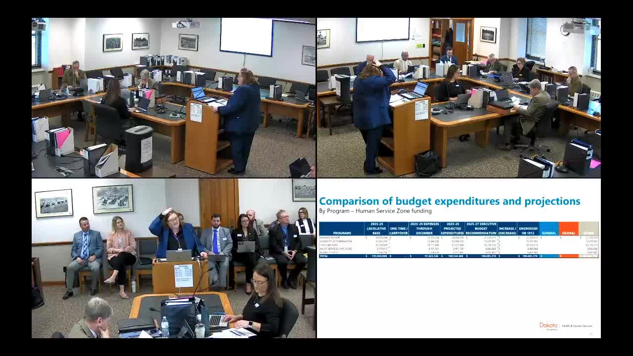 Senate committee reviews $4.57M budget for human service zones and child welfare
