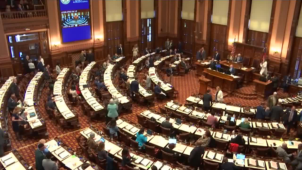 Reverend Chip Gordon leads morning prayer at Georgia House session