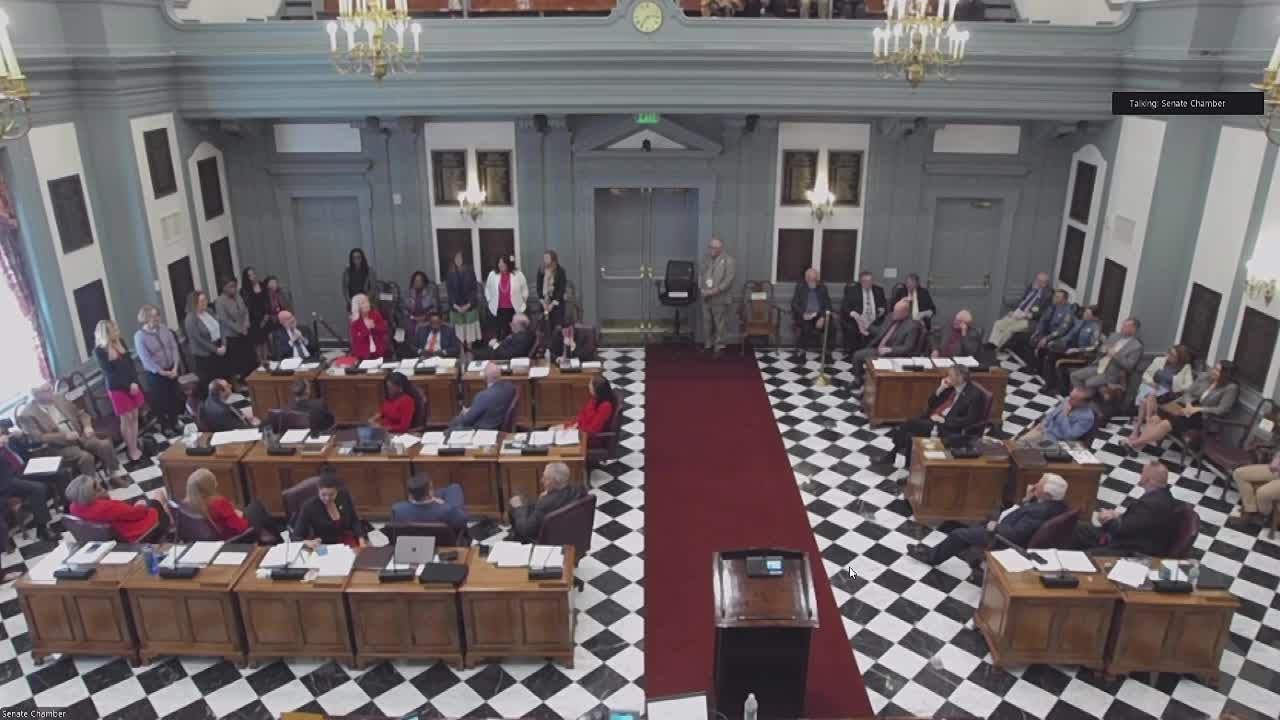 Delaware Senate approves Women and Girls in STEM Day resolution for March 25, 2025