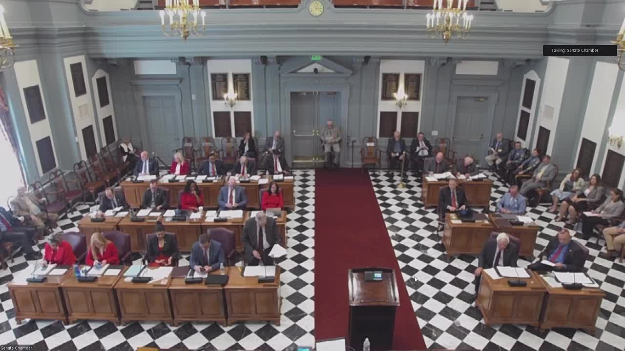 Delaware legislature approves gender-neutral amendments to the state constitution