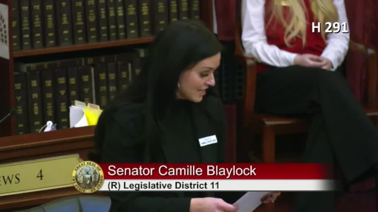 Idaho Senate debates House Bill 291 for high need student funding support
