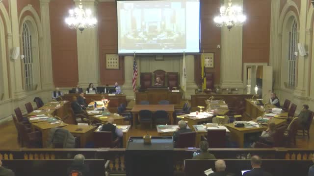 Planning Board reviews Newton's largest development project with peer reviewer insights