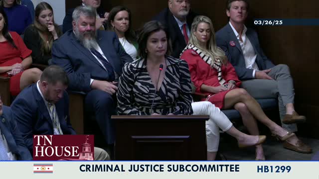 Committee advances House Bill 1299 to judiciary amid ongoing firearm safety discussions