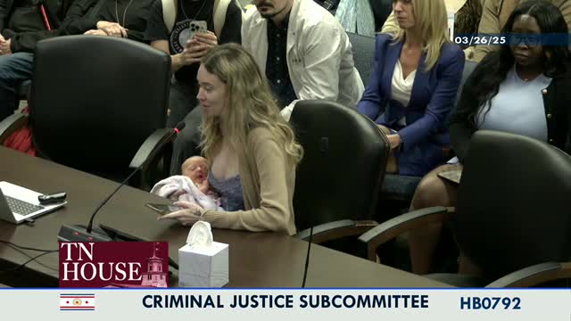 Tennessee committee discusses gun accountability legislation after tragic murder