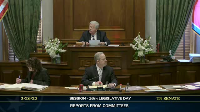 Senate honors Loretto High School basketball team for state championship achievement