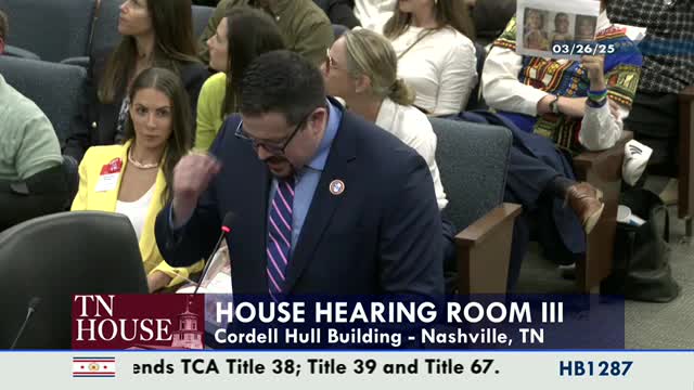 Tennessee lawmakers debate funding changes for gun sale background checks