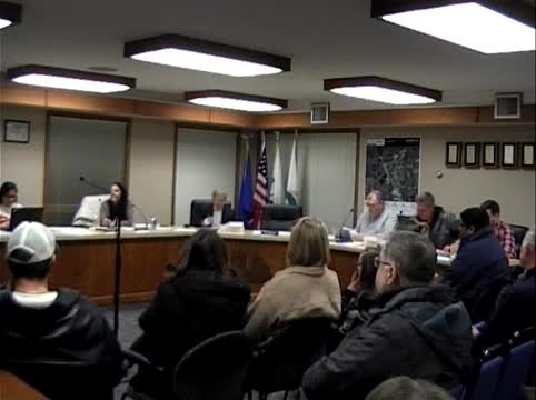 NextGen team presents East Side Park vision to Morris City Council