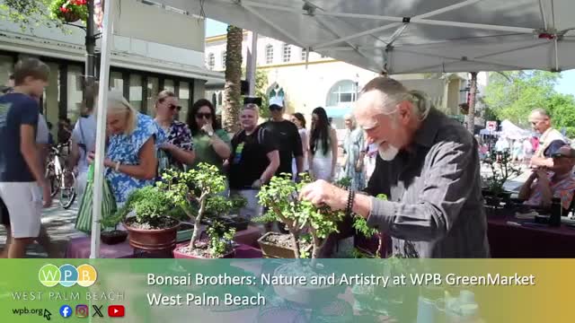 Earl Balintovic launches Bonsai Brothers business with brother Carl's support