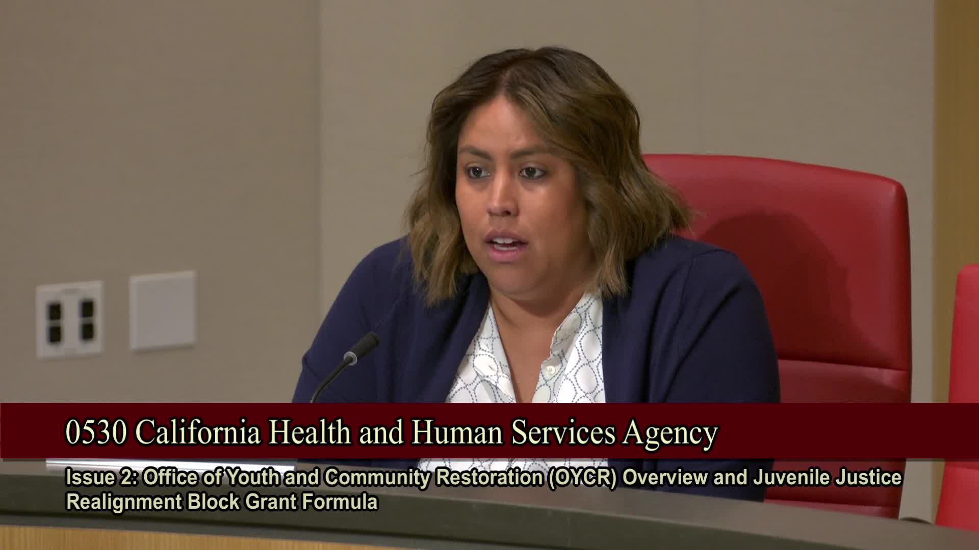 California lawmakers question funding formula for youth probation programs amid facility issues