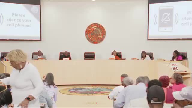 Vice Mayor leads Miami Gardens council meeting in Mayor Harris' absence