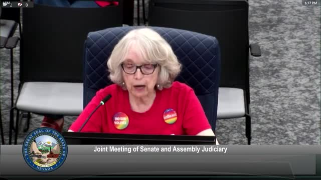 Nevada Assembly hears passionate support and opposition for AB 245 gun control bill