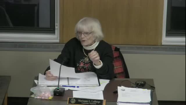 City Council refers finance package to committee amid project delays