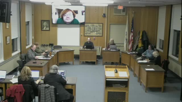 Council discusses remote meeting flexibility amid health safety concerns
