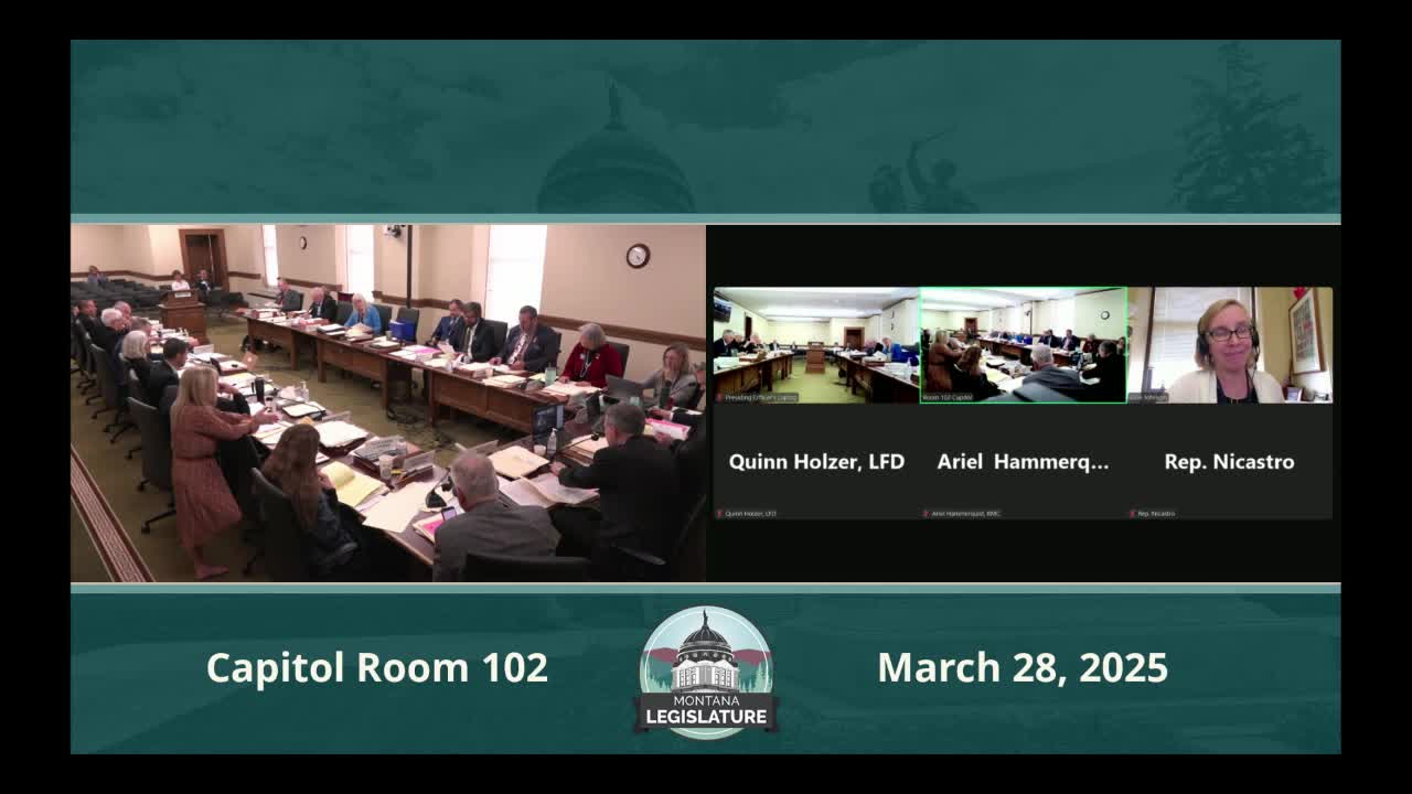 Committee delays House Bill 339 amid concerns over amendment confusion