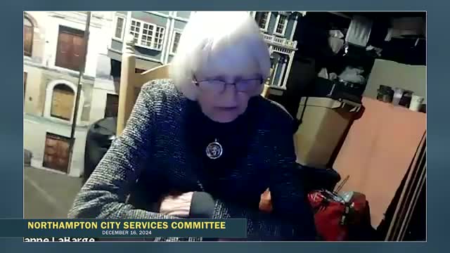 City Council endorses Amelia Shaw for Arts Council appointment